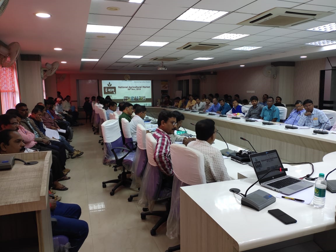 Training on New Features of eNAM