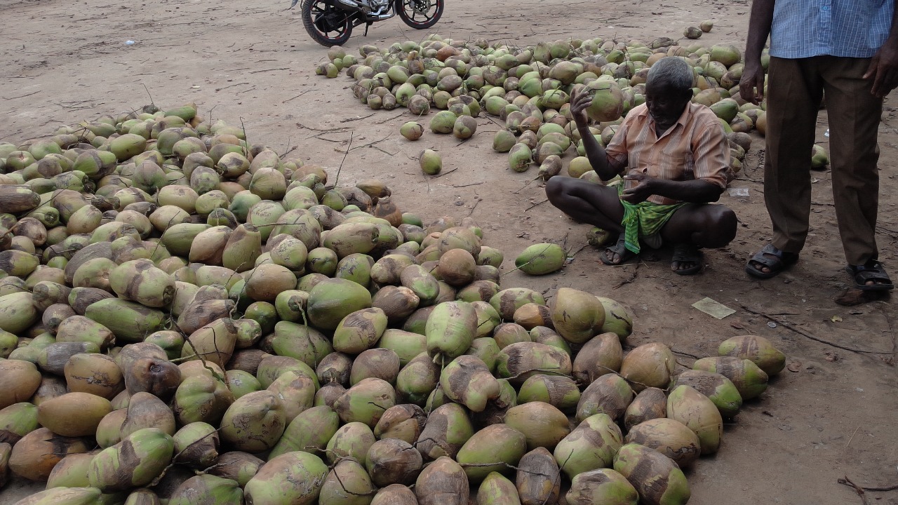 ସାକ୍ଷୀଗୋପାଳ